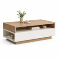 Couchtisch rechteckig 120 x 60 x 40 cm MDF mit Eichenfurnier und Spanplatte Weiß Natur
